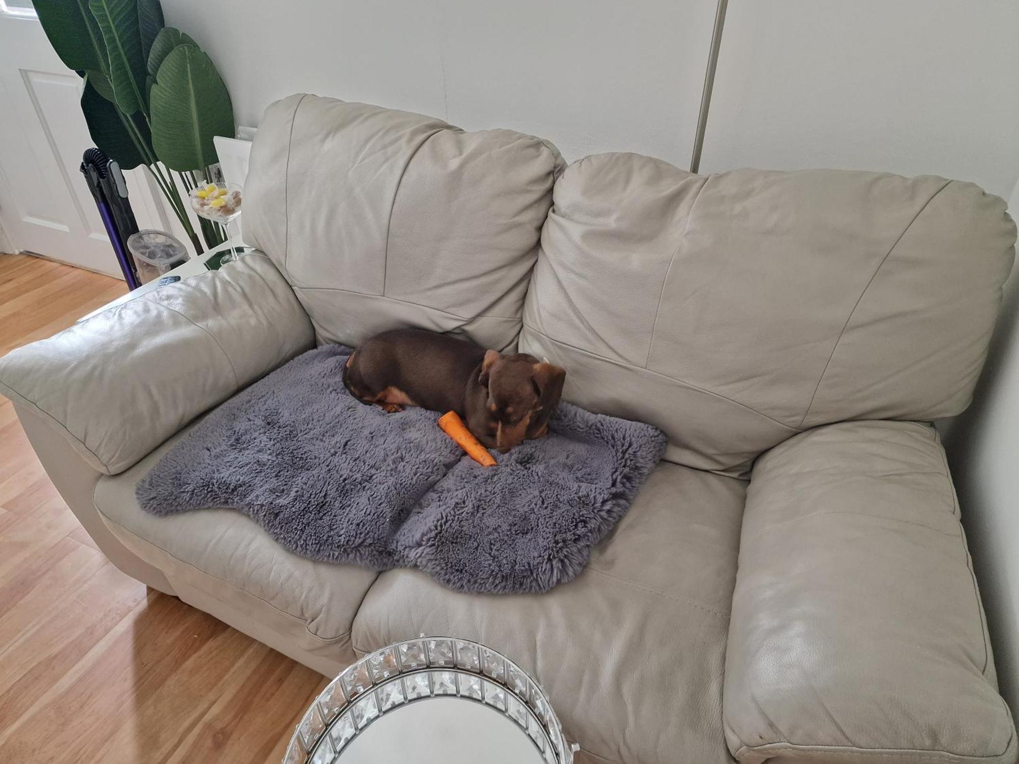 Aunty Katie'S House, Ni Tourist Board Certified & Located On The Main Oldpark Road To Belfast, With Free Continental Breakfast & Free Ultra Fast Sky Internet, Free Sky Sports & Free Sky Cinema, Self-Check In After 10Pm Gmt Hostel Bagian luar foto